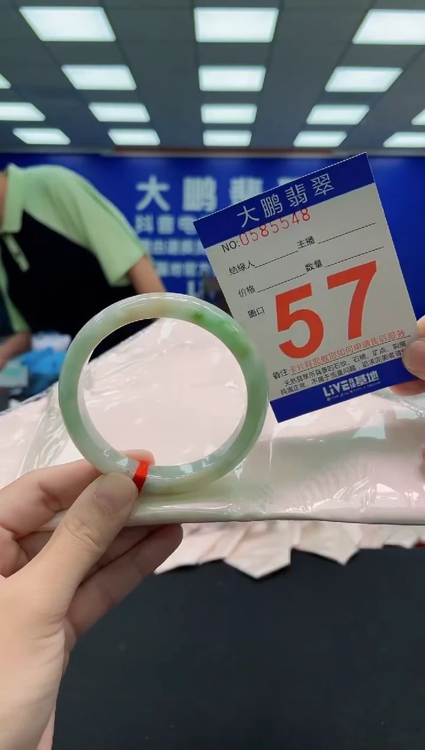 未镶嵌手镯翡翠AAAAAAAAA