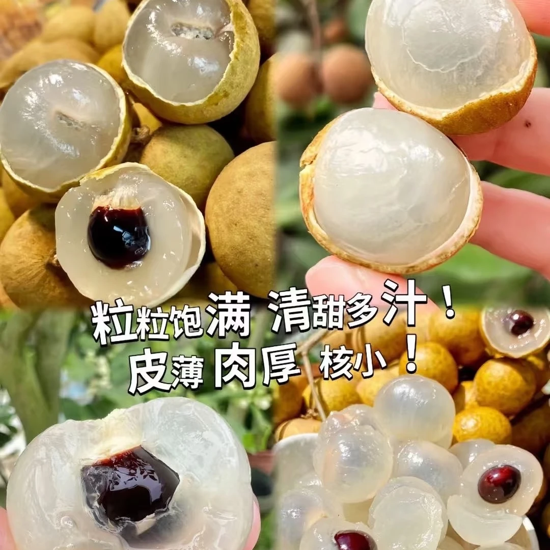 【水果优选】泰国进口龙眼当季新鲜香甜多汁肉厚饱满【顺丰次日达】