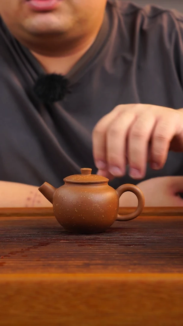 茶壶紫砂紫泥铺砂巨轮珠