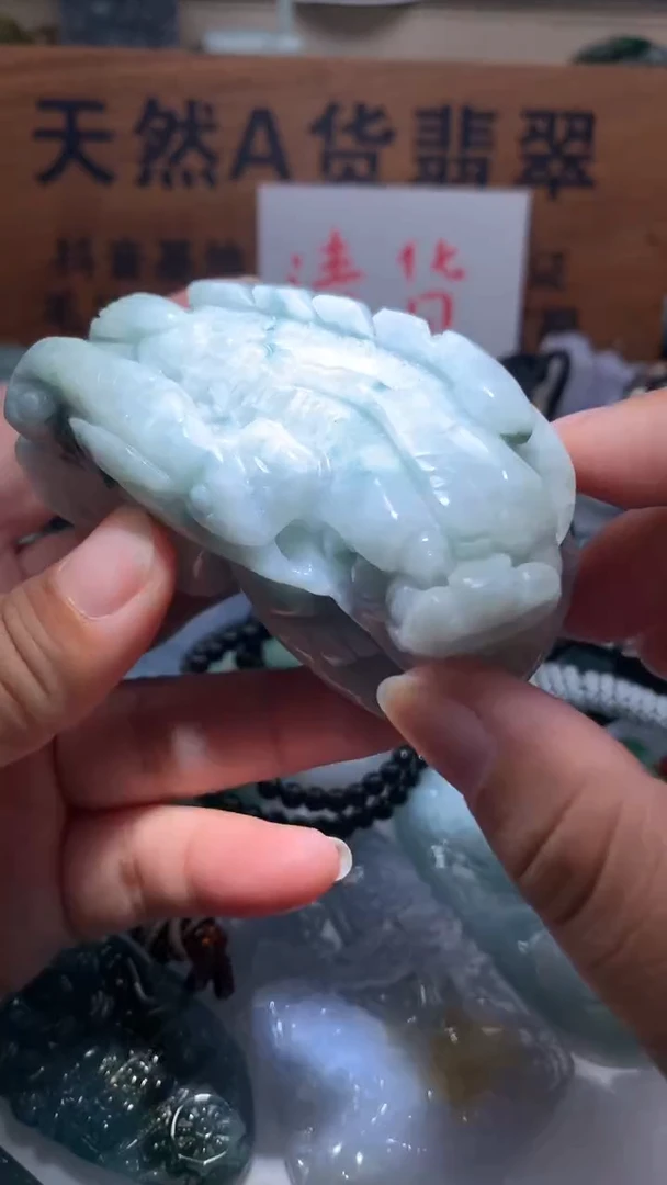 【闪购商品】翡翠颈饰未镶嵌保真天然A货翡翠