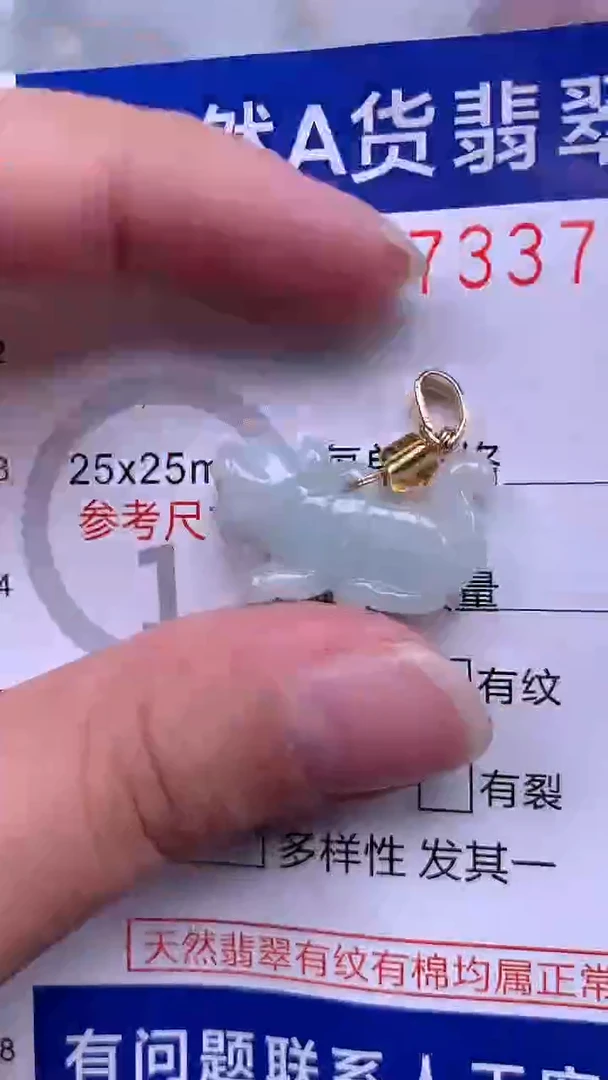 翡翠未镶嵌吊坠(不含链)1