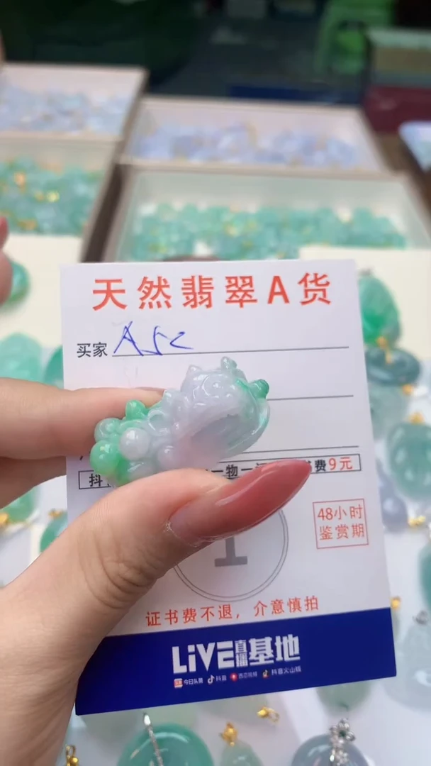 颈饰未镶嵌翡翠天然A货翡翠挂件