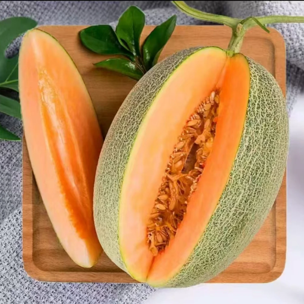 青呗宁海南网纹哈密瓜KK