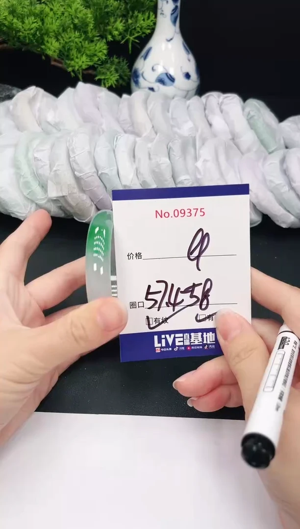 未镶嵌手镯翡翠9375