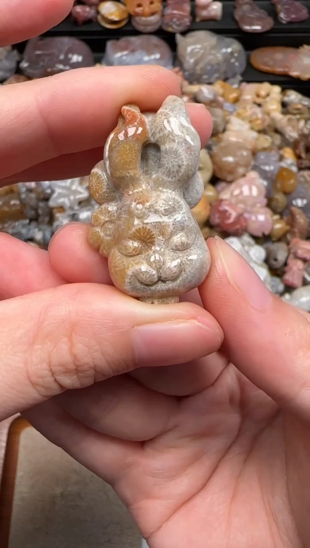 硅化珊瑚（珊瑚玉）未镶嵌颈饰655