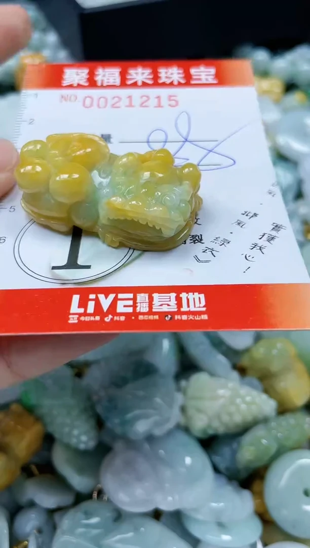 【闪购商品】翡翠颈饰未镶嵌闪购0021215