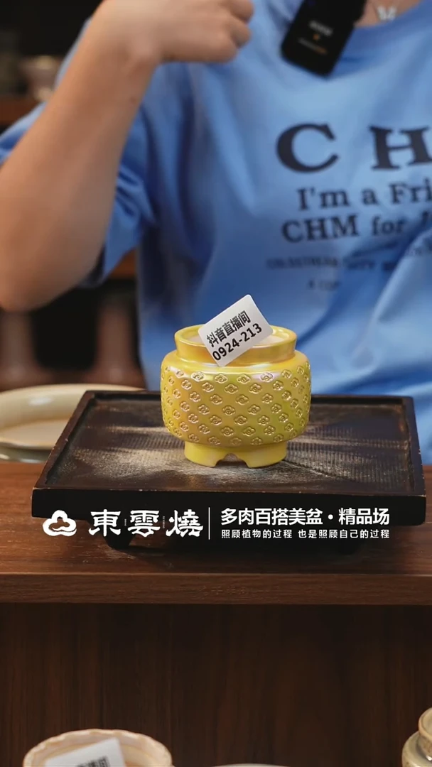 0924-213A宫灯内口5.5