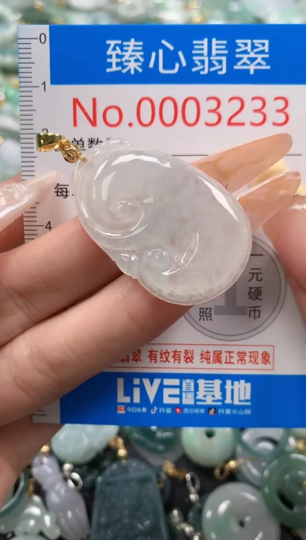 翡翠未镶嵌颈饰含绳0003233