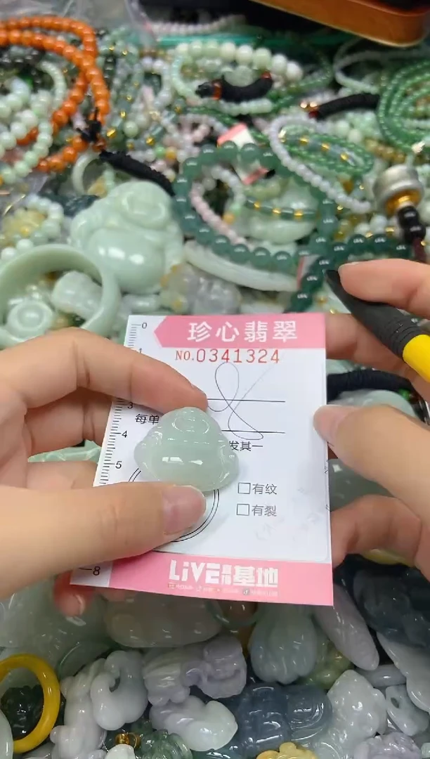 颈饰未镶嵌翡翠闪购0341324