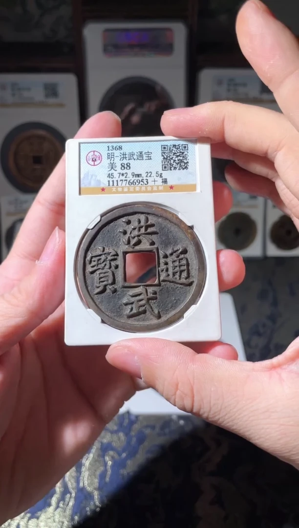 【闪购商品】铜明代洪武通宝十福