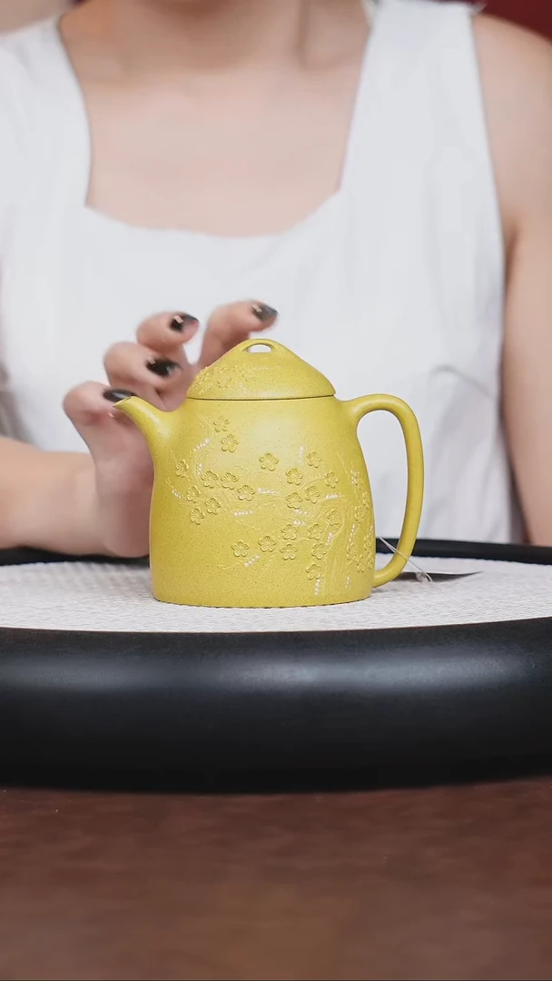 茶壶紫砂宜兴紫砂茶壶茶杯茶宠