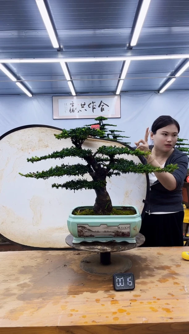 无花朵一物一拍，所见即所得