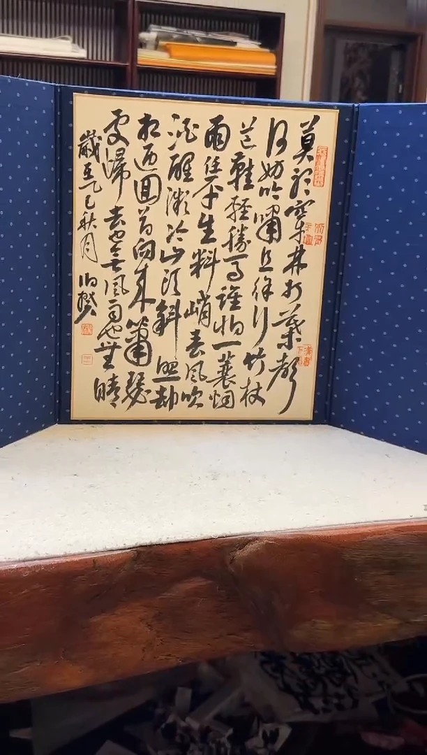 书法伯揆书法原作作品 定风波 册页收藏版