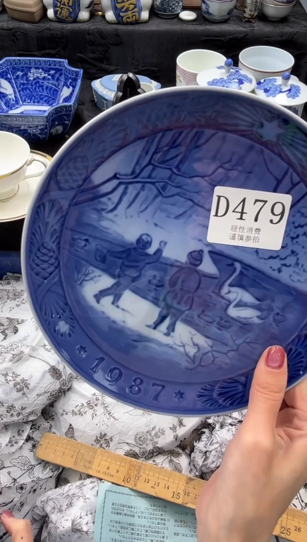 瓷片       D479