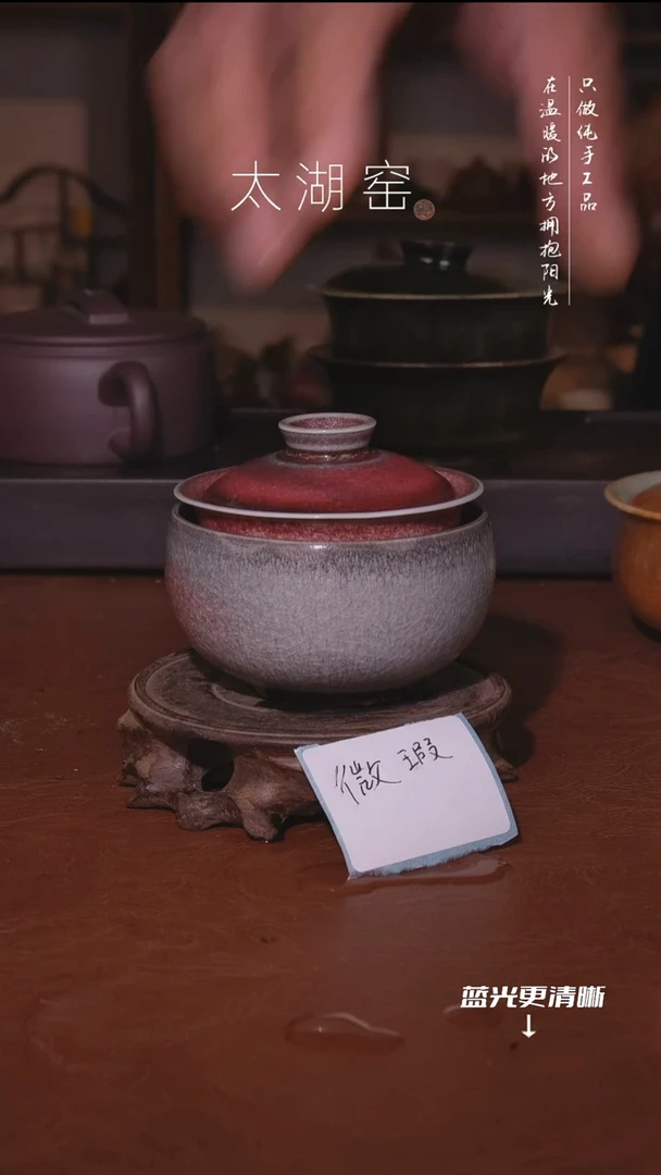 陶瓷芝***丝太湖窑   481