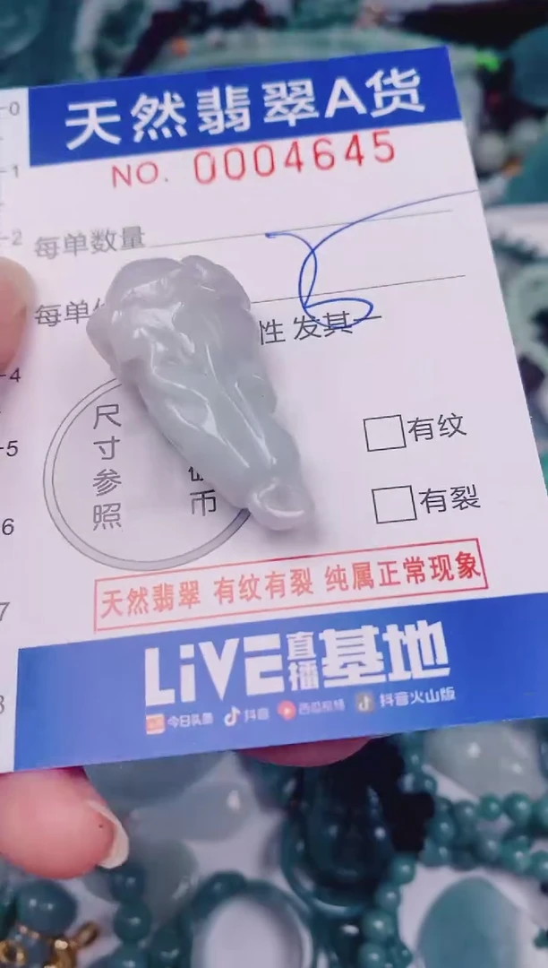 颈饰未镶嵌翡翠00004645
