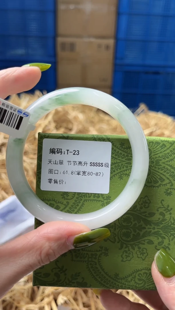 未镶嵌手镯石英质玉T23