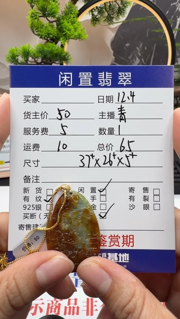 吊坠(赠链)未镶嵌翡翠挂件