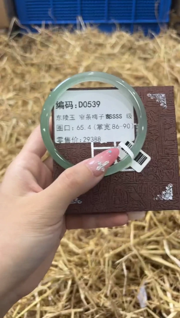 未镶嵌手镯石英质玉D0539
