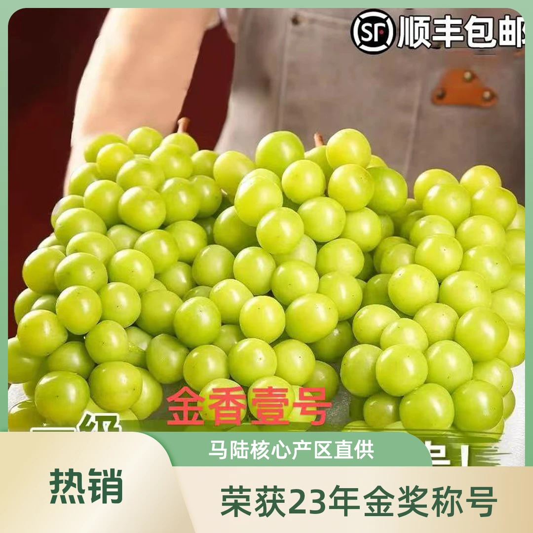 【大精品】马陆核心产区葡萄 金香壹号 荣获23年金奖称号净重3斤葡萄同城送上海市