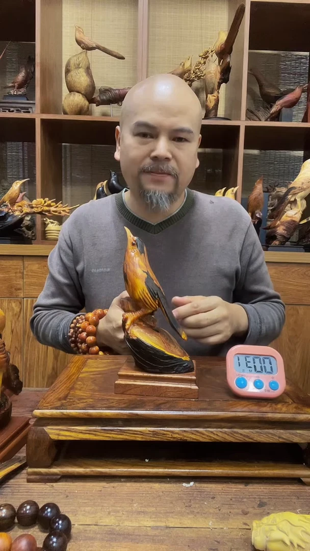 松木老*树 定向 老槐树