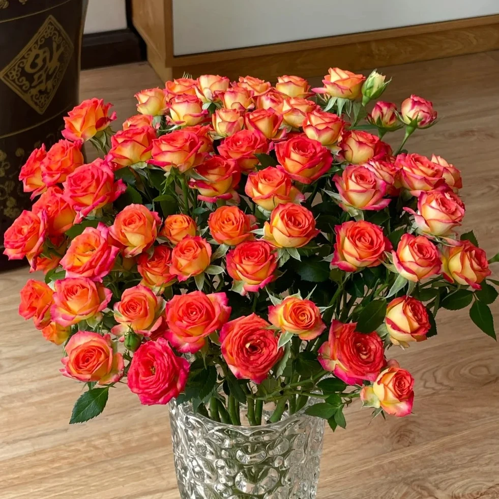 【云南鲜花】多头（爱丽丝）玫瑰 1单普通包邮，2单以上顺丰冷链