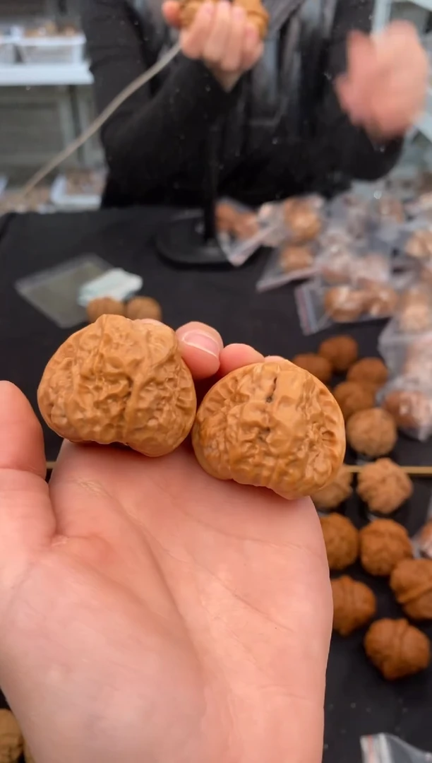 【闪购商品】文玩核桃把件延庆蛙38-t507