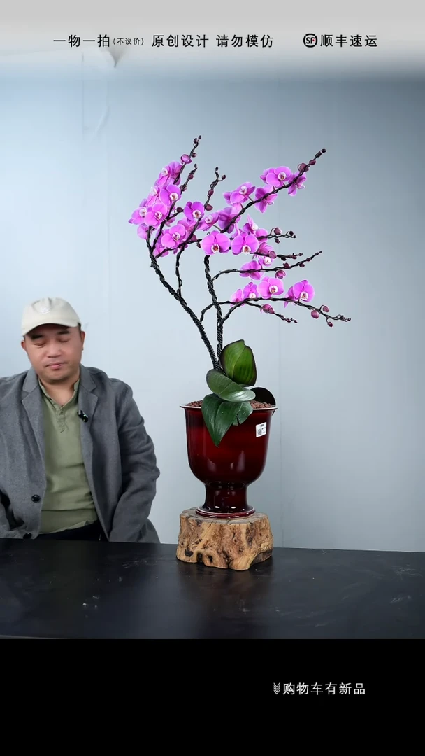 【闪购商品】093号链接【一物一拍】艺术盆景