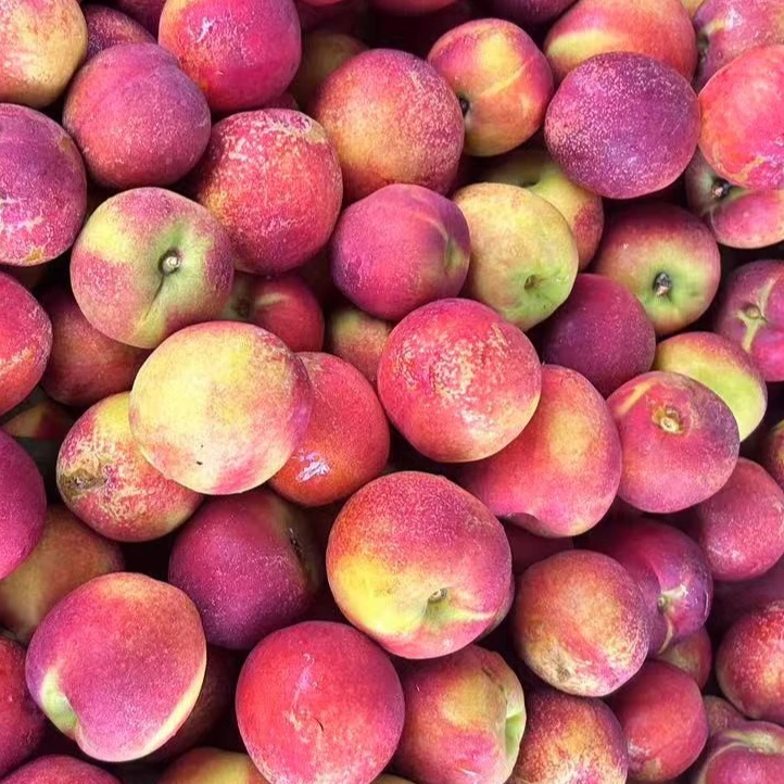 【散装5斤】襄垣本地黄肉枣蜜桃散装5斤山西省