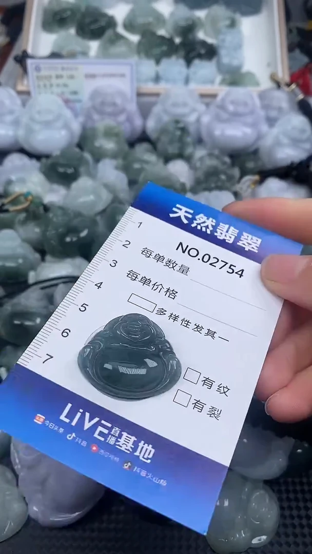 颈饰未镶嵌翡翠纯天然A货翡翠2754