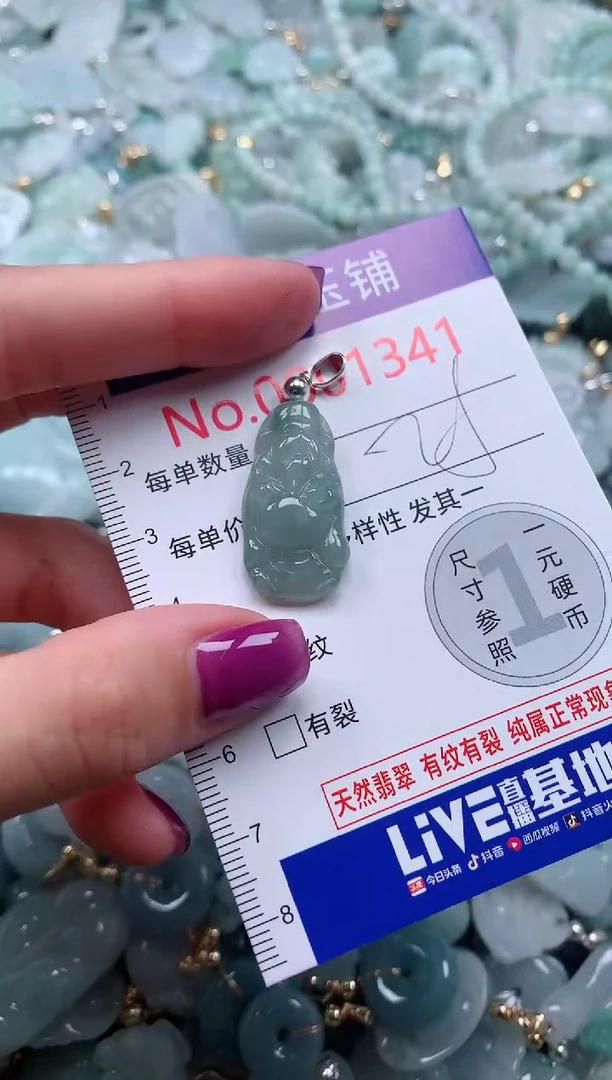 颈饰未镶嵌翡翠1341