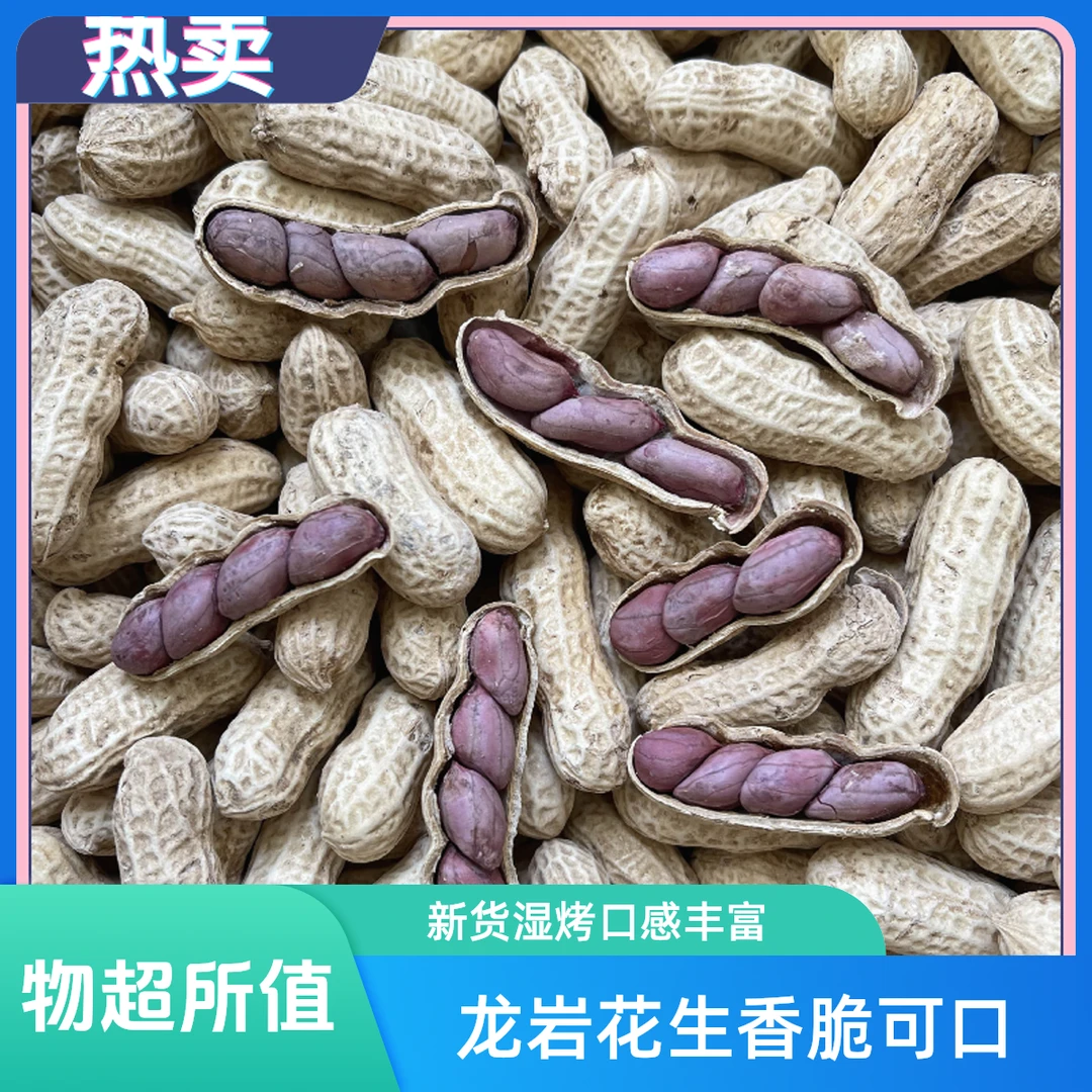 福建龙岩湿烤花生500g五香味花生酒鬼花生香辣酥坚果干货七彩