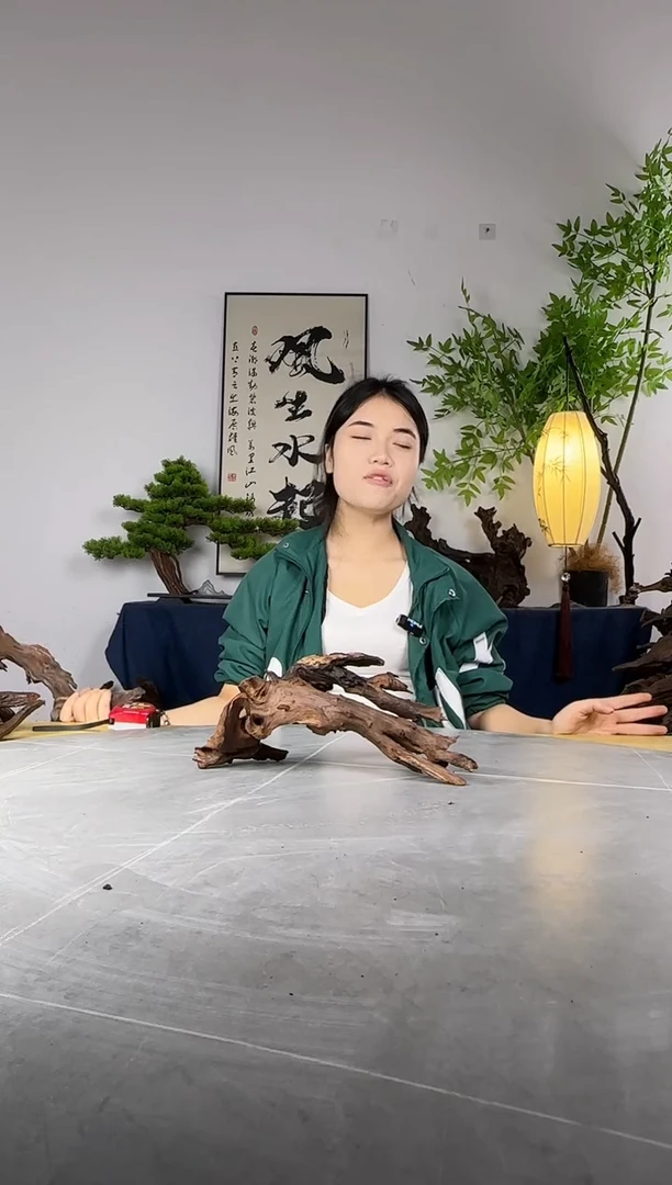 艺**族拍这个定向编号13