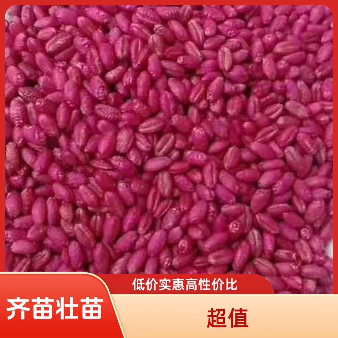 正品小麦齐苗壮苗包衣大厂家叶面肥
