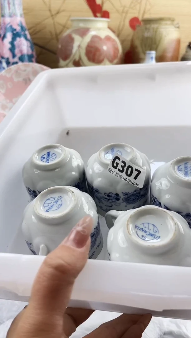 马*游==============g307