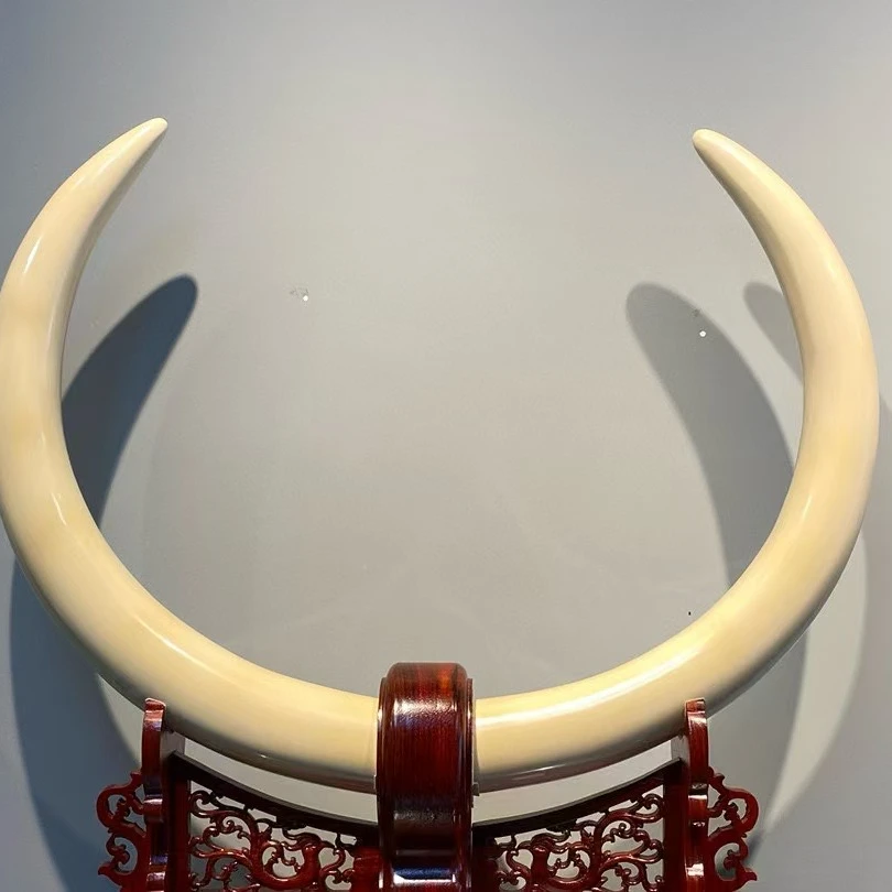 天然对摆单摆5A冰料牙芯直播间专拍改价链接猛犸猛犸象牙猛犸单珠