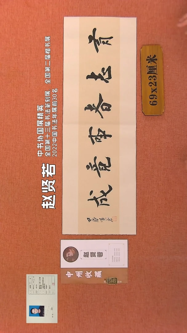 【闪购商品】书法203        赵贤若书法作品