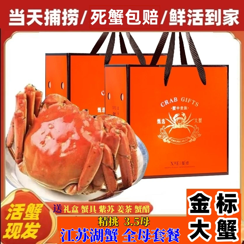 【活蟹现发】金标全母洪泽湖大闸蟹（3.5-3.2两）8只-10只礼盒顺丰