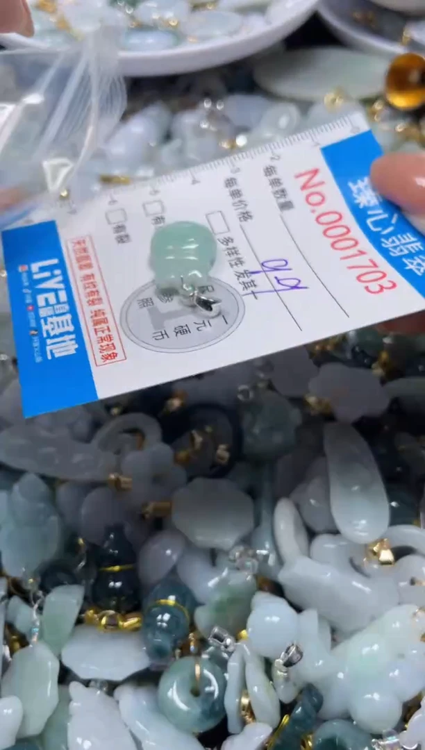 颈饰未镶嵌翡翠1703