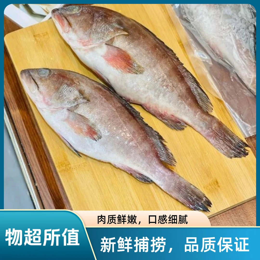 【10条装】新鲜速冻锁鲜石斑鱼深海捕捞石斑鱼单条100g-200g