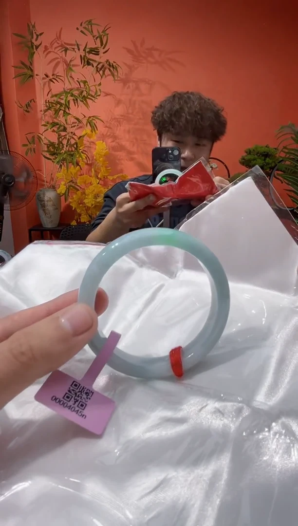 未镶嵌手镯翡翠5