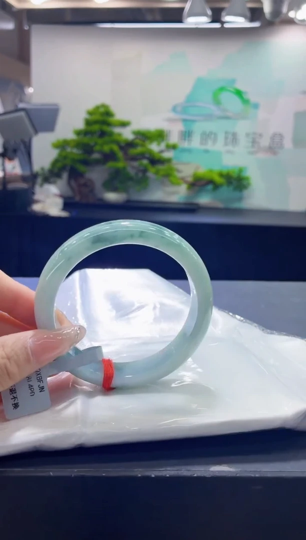 未镶嵌手镯翡翠11