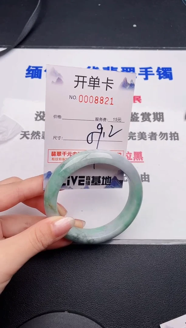 未镶嵌手镯翡翠21