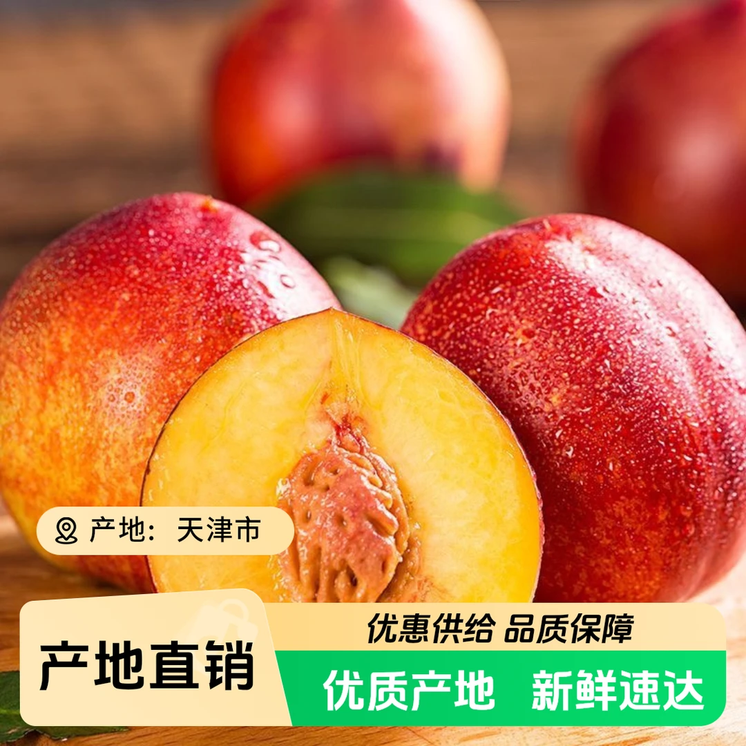 【众旺农场】油桃 新鲜采摘1/4斤±2两 顺丰包邮送货上呢天津市