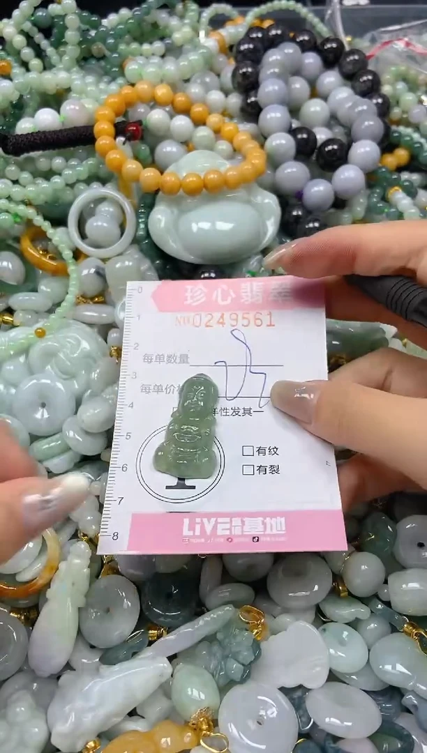 翡翠未镶嵌颈饰闪购0249561
