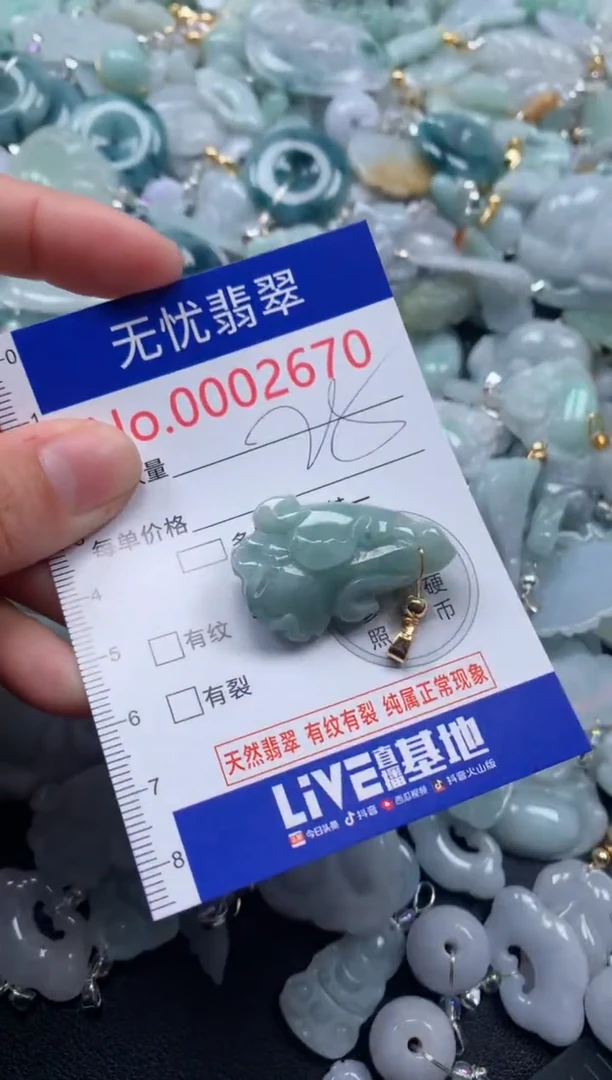 颈饰未镶嵌翡翠2670