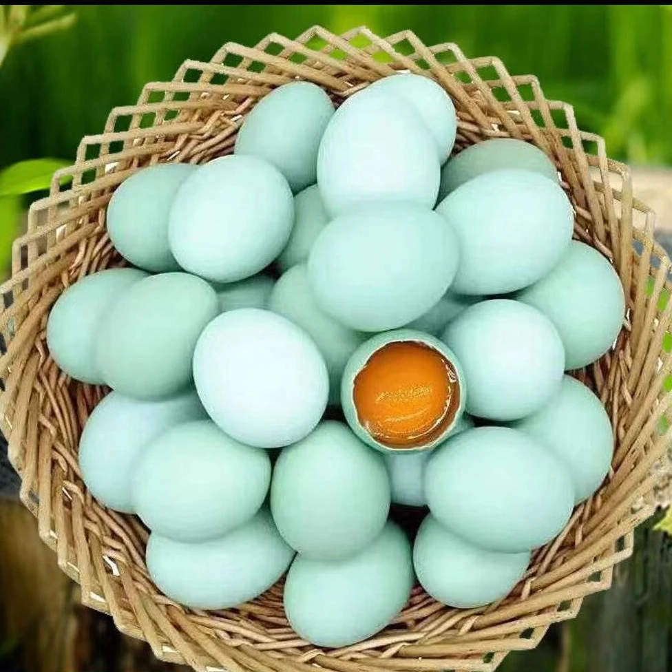 【50枚】正宗绿壳乌鸡蛋当日现捡现发土鸡蛋林下散养月子