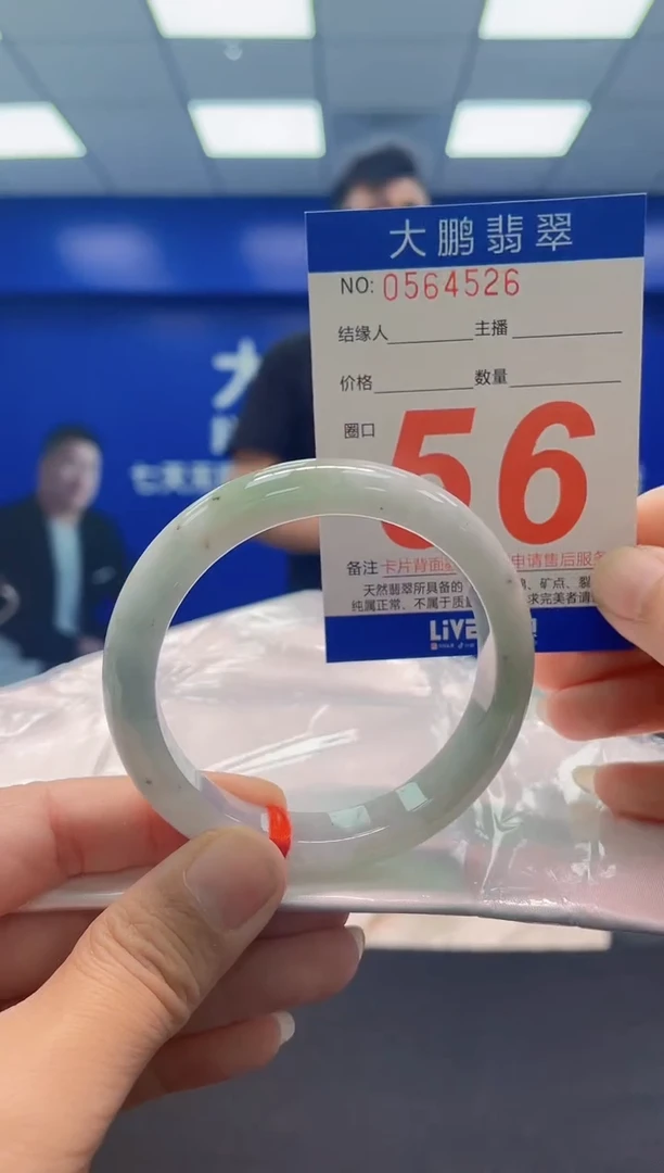 未镶嵌手镯翡翠AAAAAAAAA
