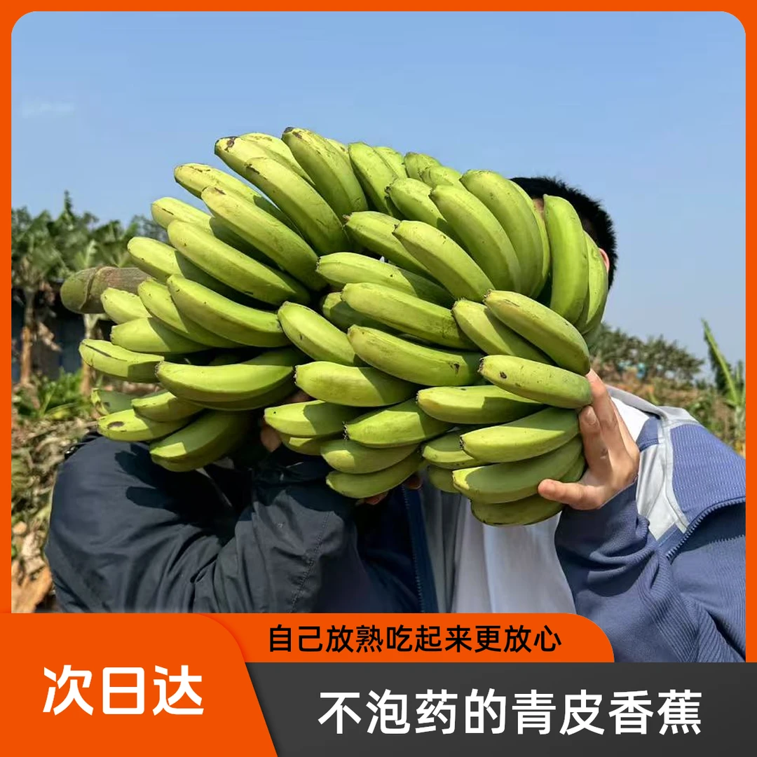 【次日达】云南高山青皮香蕉【个头有大有小】自己放熟更放心5斤装高山甜蕉云南省