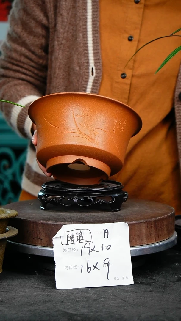 紫砂花盆花卉园艺19+s